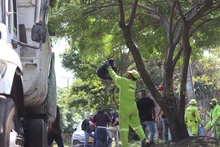 Inicia el primer ciclo de corte de césped y  se atienden diariamente 190 puntos de manejo inadecuado de residuos sólidos