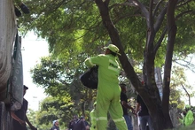 “Las escobas activas” por nuestra Cali bella trabajan sin descanso por  mantener la ciudad limpia y aseada