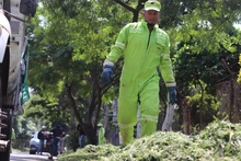 12 millones de metros cuadrados de áreas verdes se están atendiendo durante el primer ciclo de corte de césped en el 2025