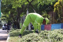 12 millones de metros cuadrados de áreas verdes se están atendiendo durante el primer ciclo de corte de césped en el 2025