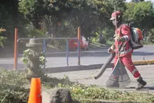 Lleras Restrepo y Villa del Lago, en la Comuna 13, empiezan el 2025 con jornadas de embellecimiento de árboles y limpieza de espacios públicos