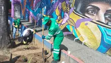 En 2025, continúa en firme el compromiso de los caleños de trabajar juntos por una Cali más bella