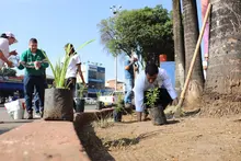 Un año de Mi Cali bella con jornada especial de ornato y embellecimiento en San Pascual