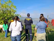 Por inconsciencia ciudadana, nuevamente se presenta incendio forestal en  Pichindé