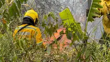 Por inconsciencia ciudadana, nuevamente se presenta incendio forestal en  Pichindé