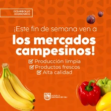 ¡Regresan los Mercados Campesinos en Cali!
