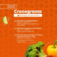 ¡Regresan los Mercados Campesinos en Cali!