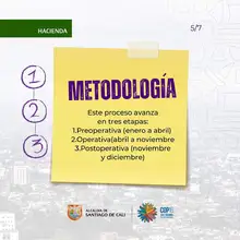 11 de junio