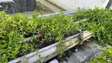 Transformando espacios y vidas: El impacto del comedor Hermandad por Cali