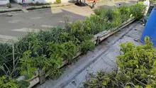 Transformando espacios y vidas: El impacto del comedor Hermandad por Cali
