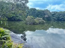 Caleños conmemoraron Día Mundial de los Humedales