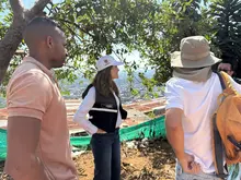 5 parques completamente recuperados en 2025 beneficiarán a más de  300 mil habitantes en Cali