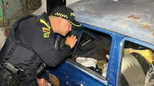 Así se cuida a Cali: Alcaldía y autoridades realizan semanalmente más de 70 operativos conjuntos contra el delito 