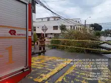 Vientos fuertes de este sábado provocaron 12 incidentes con árboles, que están siendo atendidos por el Dagma