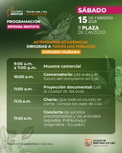 Por primera vez, la Colombia Birdfair es para todos: programación gratuita en la Plaza de Cayzedo el 15 y 16 de febrero