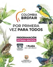 Por primera vez, la Colombia Birdfair es para todos: programación gratuita en la Plaza de Cayzedo el 15 y 16 de febrero