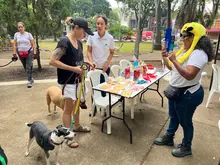 Alcaldía de Cali apuesta por la cultura ciudadana: así fue la jornada ‘Yo  cuido y mantengo mi parque limpio’ en San Fernando