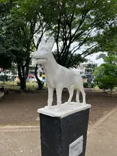 Alcaldía de Cali apuesta por la cultura ciudadana: así fue la jornada ‘Yo  cuido y mantengo mi parque limpio’ en San Fernando