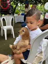 Alcaldía de Cali apuesta por la cultura ciudadana: así fue la jornada ‘Yo  cuido y mantengo mi parque limpio’ en San Fernando