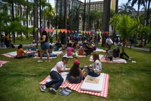 Culminó con gran éxito la ‘Colombia Birdfair’: familias y niños colmaron la Plaza de Cayzedo para aprender sobre aves y conservación de especies