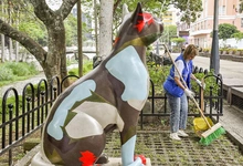 Cultura Bulevar: una iniciativa para fortalecer el espacio público y la  convivencia en el Bulevar del Río