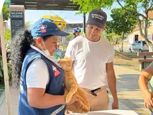 Cali suma 36 años libre de rabia y refuerza la prevención con vacunación y vigilancia epidemiológica