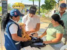 Cali suma 36 años libre de rabia y refuerza la prevención con vacunación y vigilancia epidemiológica
