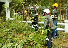 Con una gran jornada de acción ambiental, la Administración Distrital impulsó la recuperación y el embellecimiento del río Cali