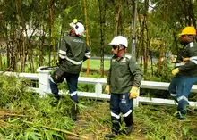 Con una gran jornada de acción ambiental, la Administración Distrital impulsó la recuperación y el embellecimiento del río Cali
