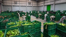 Trabajo en equipo y transparencia para recuperar a Cali: recorrimos la bodega de Valle Solidario con concejales de la ciudad
