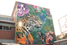 Galería 2025 2