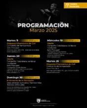 Vive los clásicos: música, ballet y percusión en el Teatro Municipal