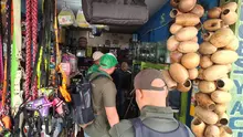 Dagma y Policía Ambiental realizan visitas de inspección y control al  tráfico de fauna