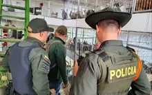 Dagma y Policía Ambiental realizan visitas de inspección y control al  tráfico de fauna