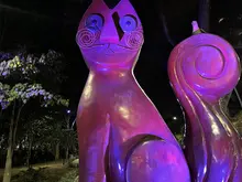 El 8 de marzo, ‘Cali en Voz de Mujer’ ilumina de morado sus hitos y monumentos 