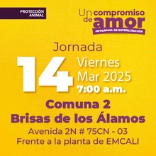 Jornada de Estetización 14 de marzo de 2025 - Comuna 2 Brisas de los Álamos Av. 2N # 75CN -03 Frente a la plata de EMCALI