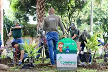Alcaldía de Cali lideró jornada de embellecimiento y acción ambiental en el barrio Santa Anita