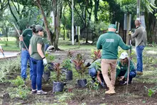 Alcaldía de Cali lideró jornada de embellecimiento y acción ambiental en el barrio Santa Anita