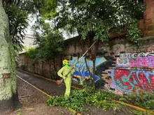 Cali fortalece la seguridad en sus parques con poda de árboles y las cuadrillas de zonas verdes de Promo Valle