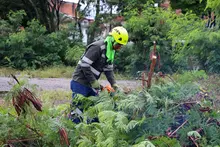 4500 m² para la comunidad en Ciudad Córdoba, restituidos por la Alcaldía de Cali