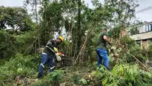 Alcaldía de Cali realizó gran jornada de recuperación, limpieza y  embellecimiento en la Comuna 15