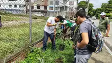 Alcaldía de Cali realizó gran jornada de recuperación, limpieza y  embellecimiento en la Comuna 15