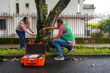 La ciudadanía, apoyo vital para la gestión del Dagma en la protección y  mantenimiento del arbolado de Cali