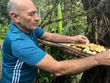 Más de 350 especies de aves alberga el ‘Paraíso de los Colibríes’: santuario de la naturaleza en Cali que requiere tu ayuda