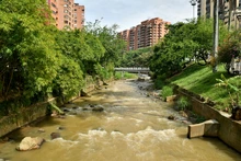 Fundación Zoológica de Cali, adelantará la gestión y conservación del  corredor ecológico de la ribera del río Cali
