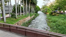 Fundación Zoológica de Cali, adelantará la gestión y conservación del  corredor ecológico de la ribera del río Cali