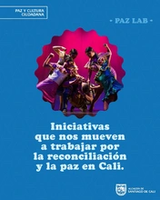 Pazlab_OIM