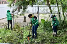 Más espacios recuperados: Alcaldía de Cali renueva el parque de  Fátima en la Comuna 4