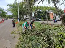 Cuadrillas del Dagma contribuyen al mejoramiento de la seguridad vial en Cali