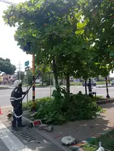 Cuadrillas del Dagma contribuyen al mejoramiento de la seguridad vial en Cali